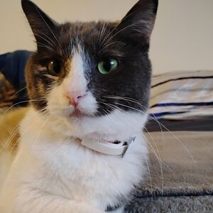 BUNDLES SAVE YOU MONEY!!!